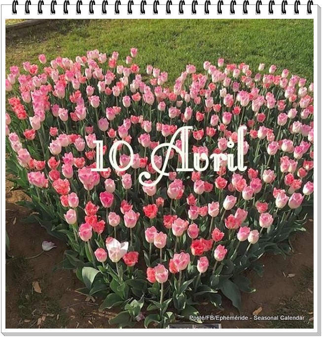 277818664_5282882611761792_1632515460909139082_n