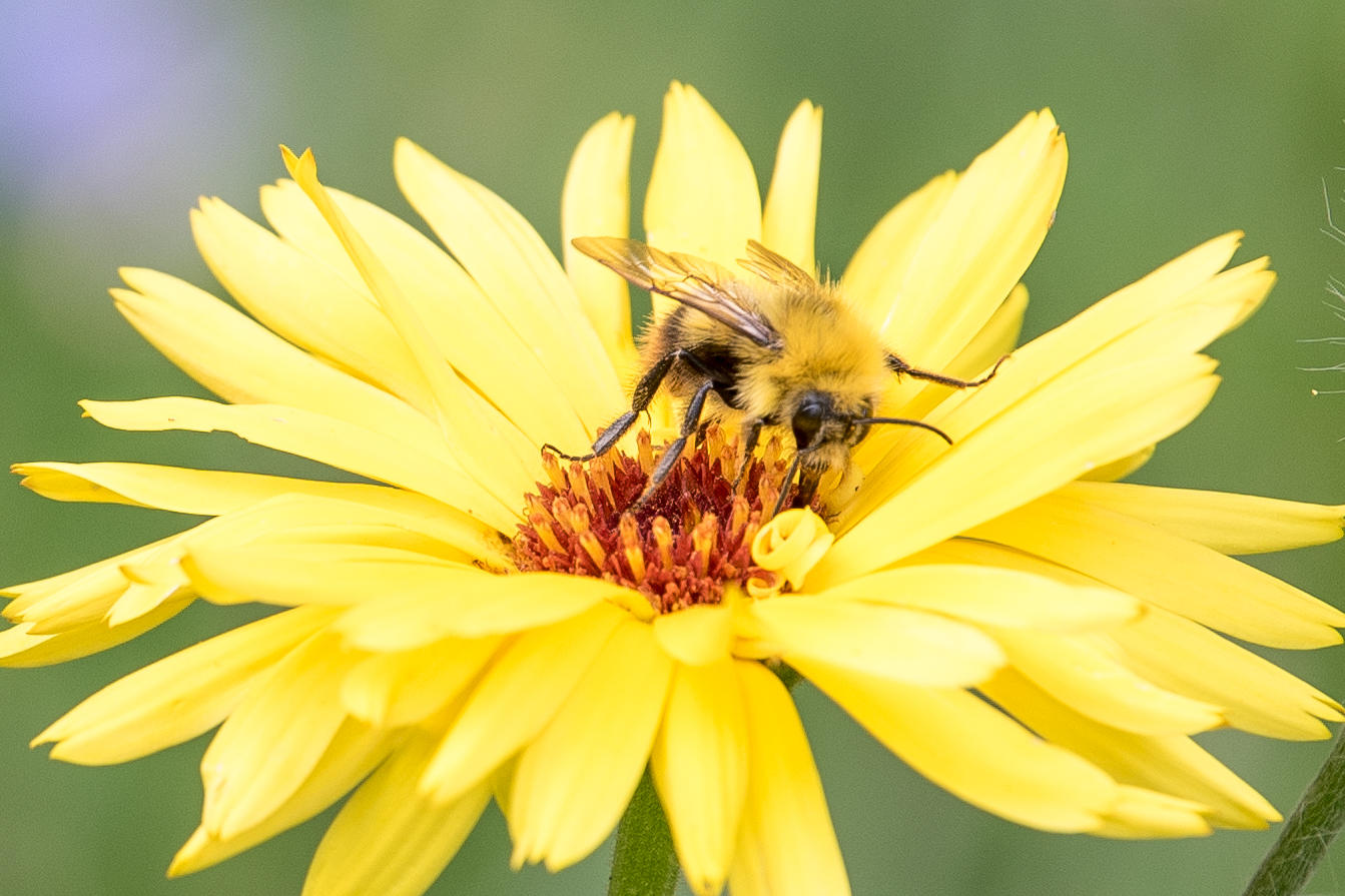 278068091_6290472087697_866075871899680075_n