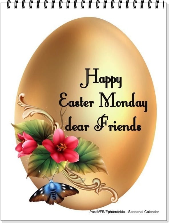 278567512_5304433396273380_2755007637216194178_n