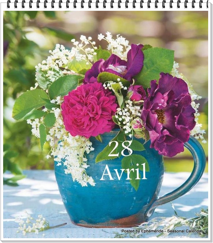 278570767_5331982116851841_2988964016751733935_n