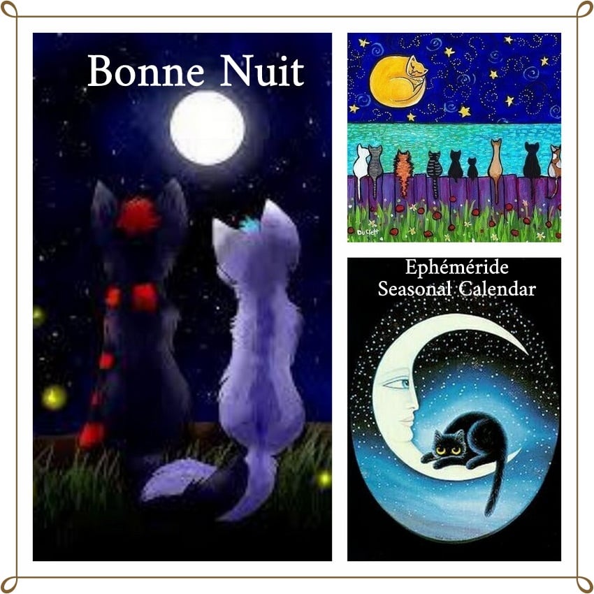 278576860_5304183679631685_1174402746011844126_n