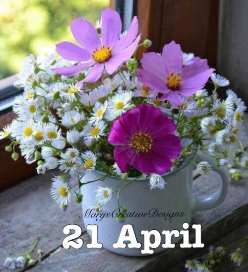 278749122_3176183422619453_4211982654836176485_n