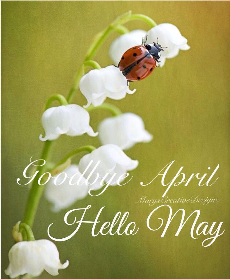 278777358_3183696871868108_5604445859532638980_n