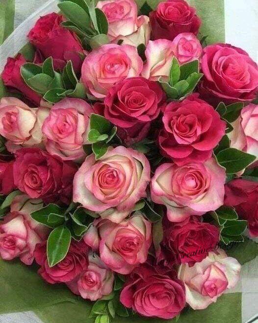 278906307_3177316445839484_2233247411573015254_n