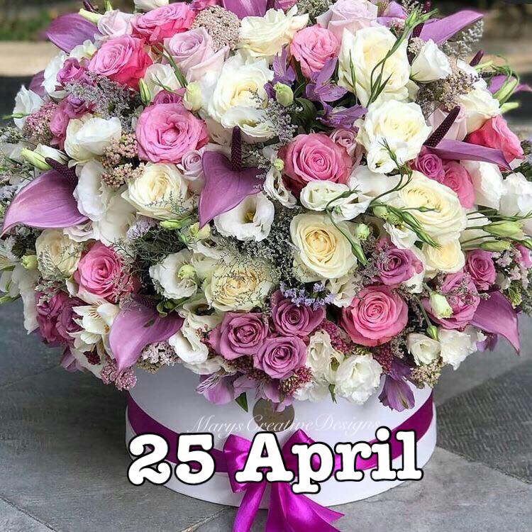 279053344_3179363312301464_2400902295963612602_n (2)