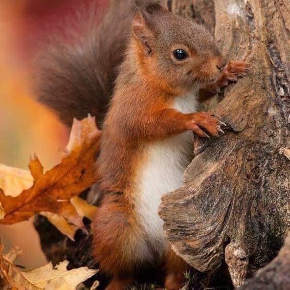 279104808_1381367625715543_893623111529094674_n