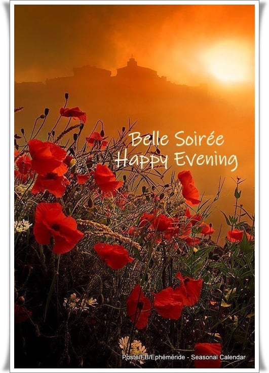 279109352_5354264994623553_4248270678164117254_n