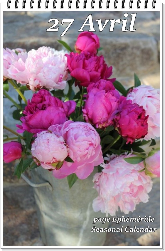 279144561_5329081860475200_155428958612814005_n