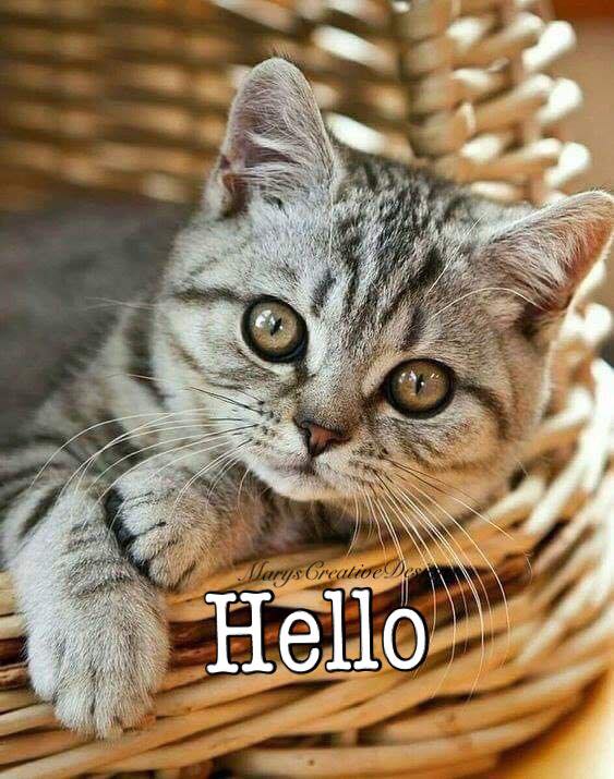 279153927_3182857121952083_1380624106793070400_n