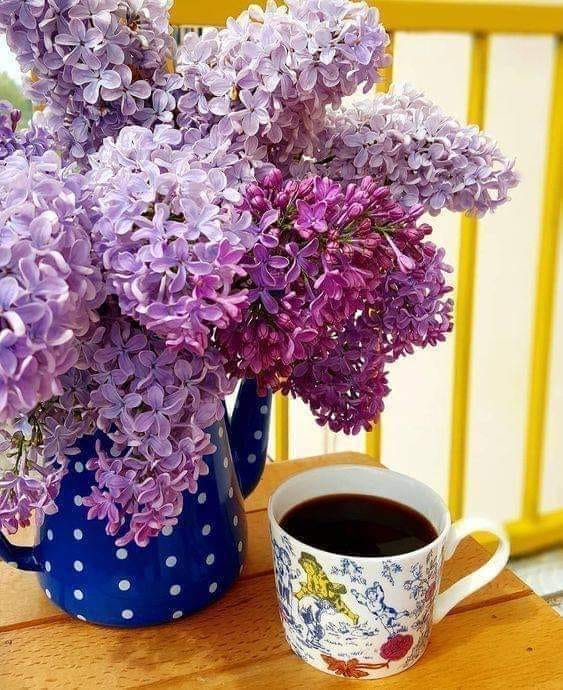 279247554_387489686616808_4909783637646673036_n