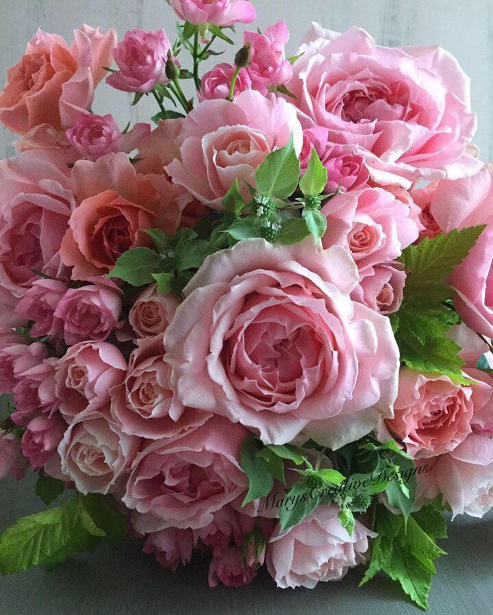 279253604_3182804041957391_2652616782599822456_n