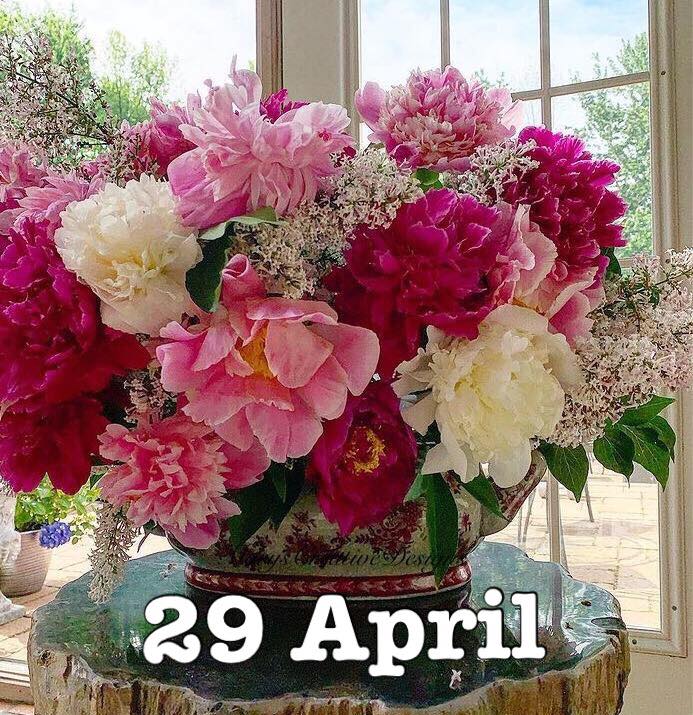 279290820_3182388321998963_6916935761871316624_n (2)