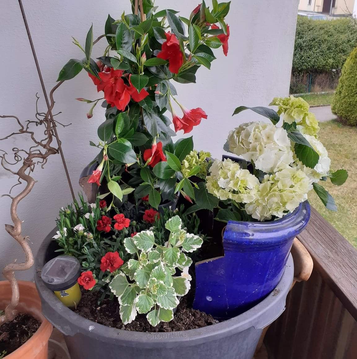 279292215_4663691850401755_7467133360862953760_n