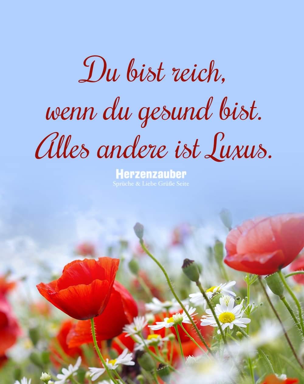 279294100_361186889320047_2311708097359083713_n