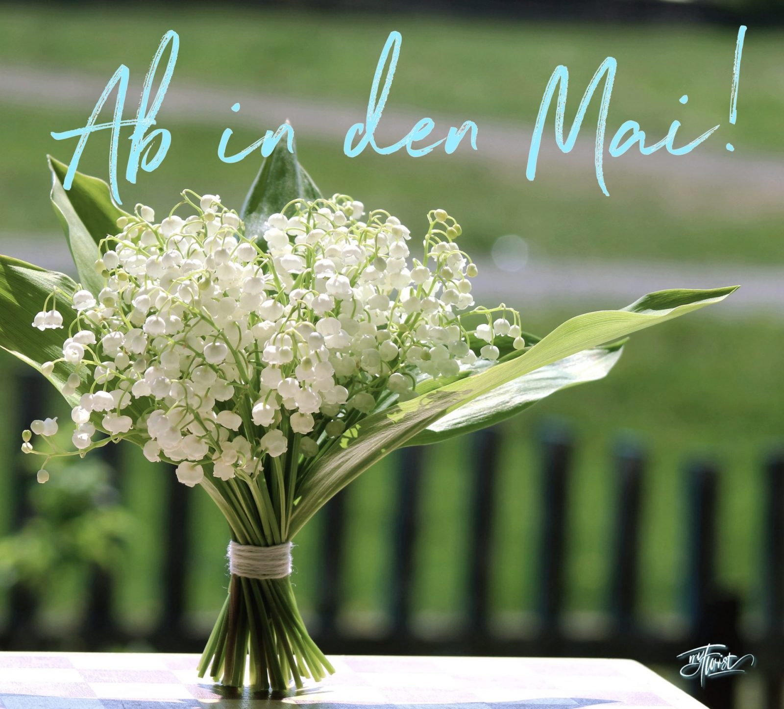 279382138_3087795718160088_4758224939504894642_n