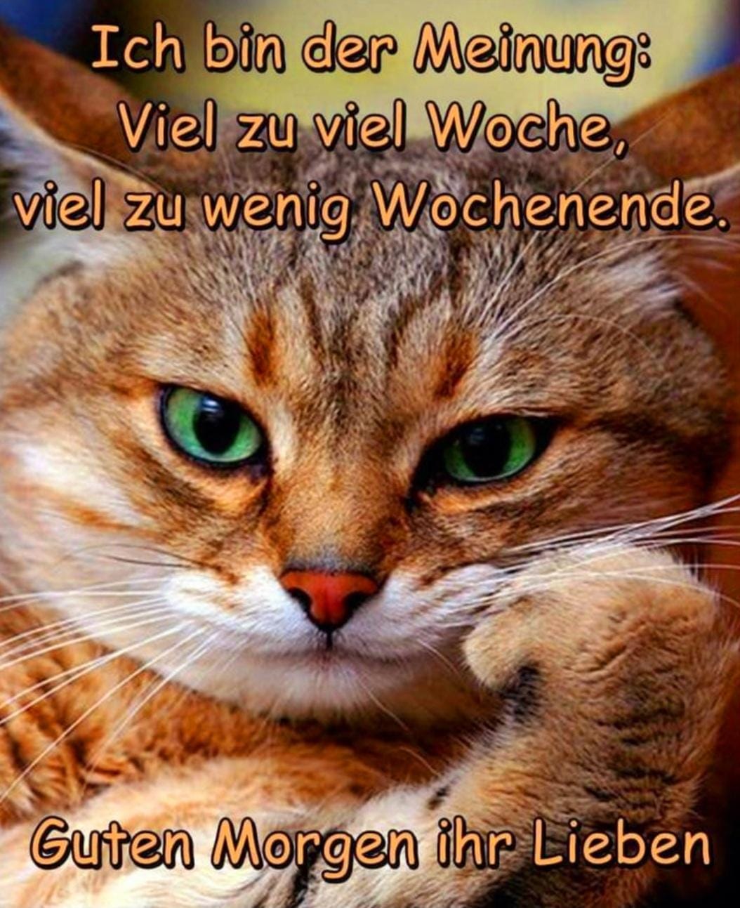 279601736_370592868460239_8669799049707617434_n