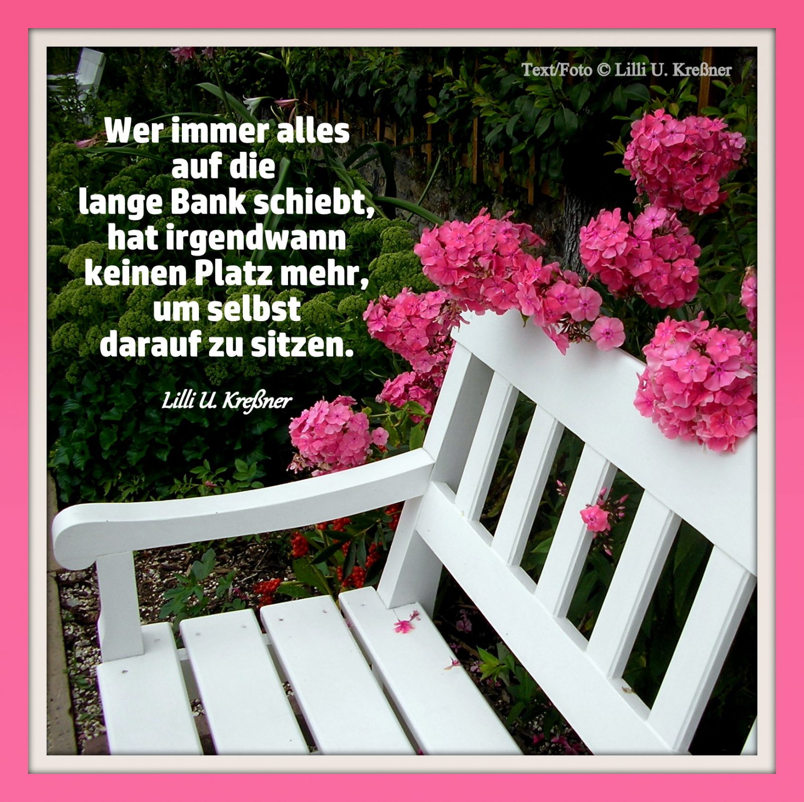 279647569_4985726911549508_5140575591815600758_n