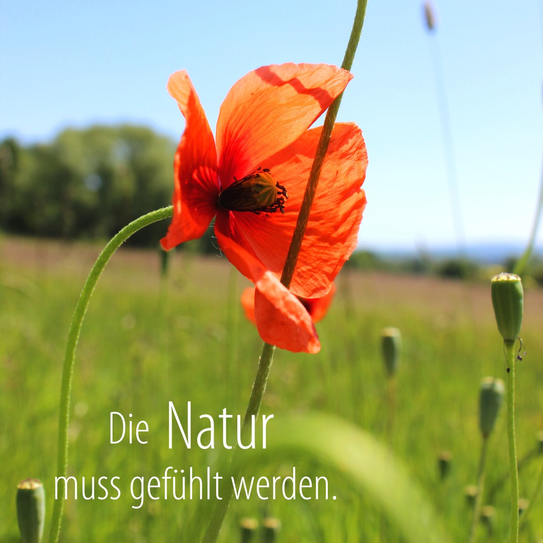 279895595_4986572001411826_45859698841370721_n