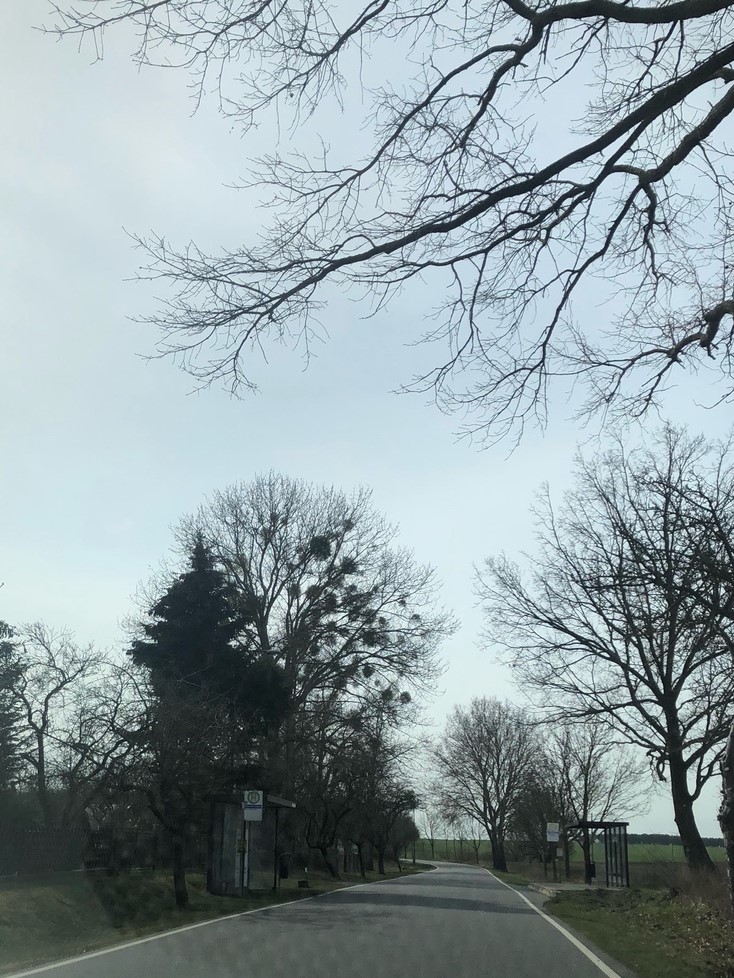 28. März.jpeg 2 (2)