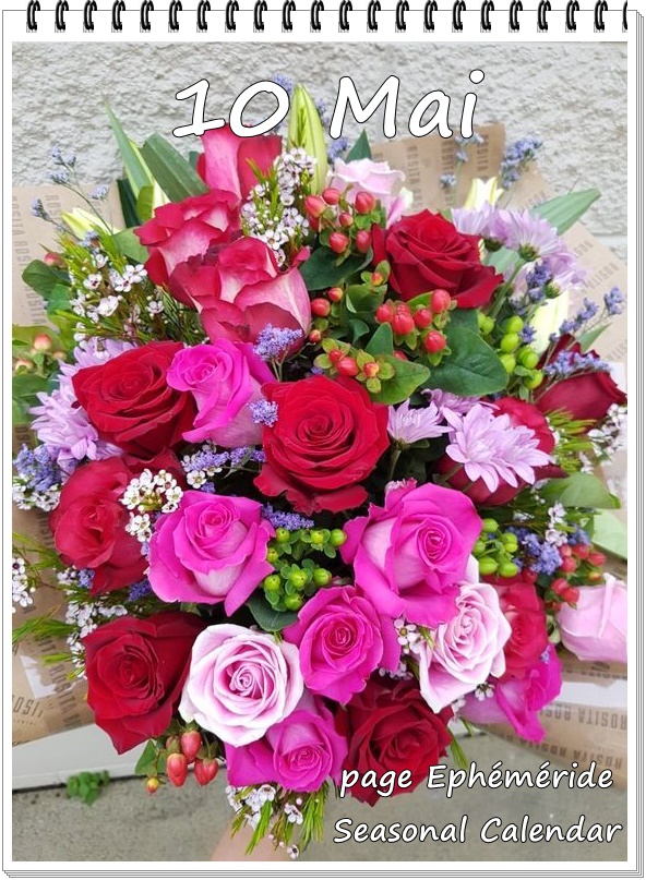 280123706_5365894973460555_5762934503788724420_n