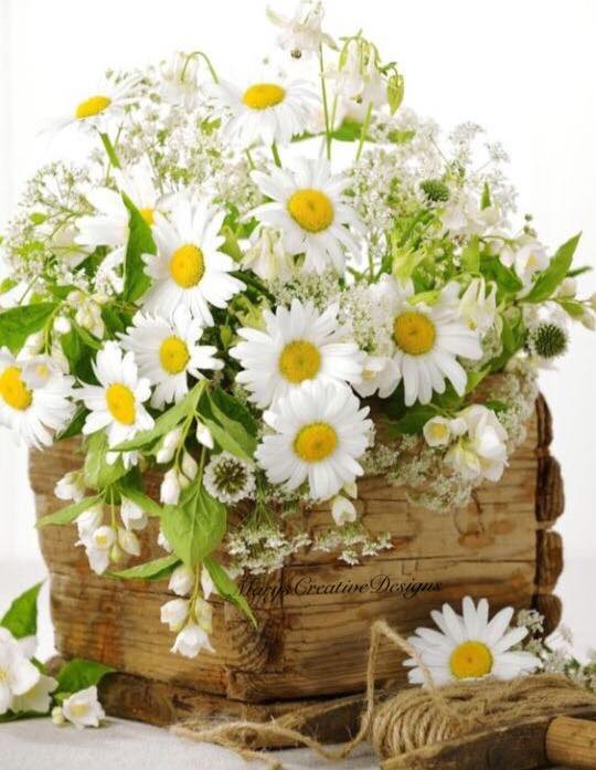 280127889_3193921587512303_7864795476300236532_n