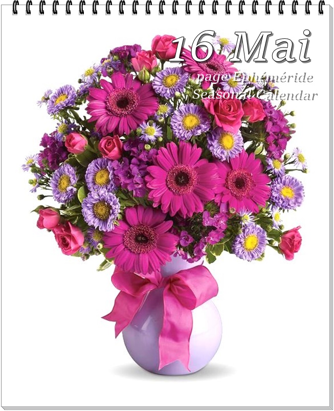 280394353_5383507631699289_5689566957226392980_n