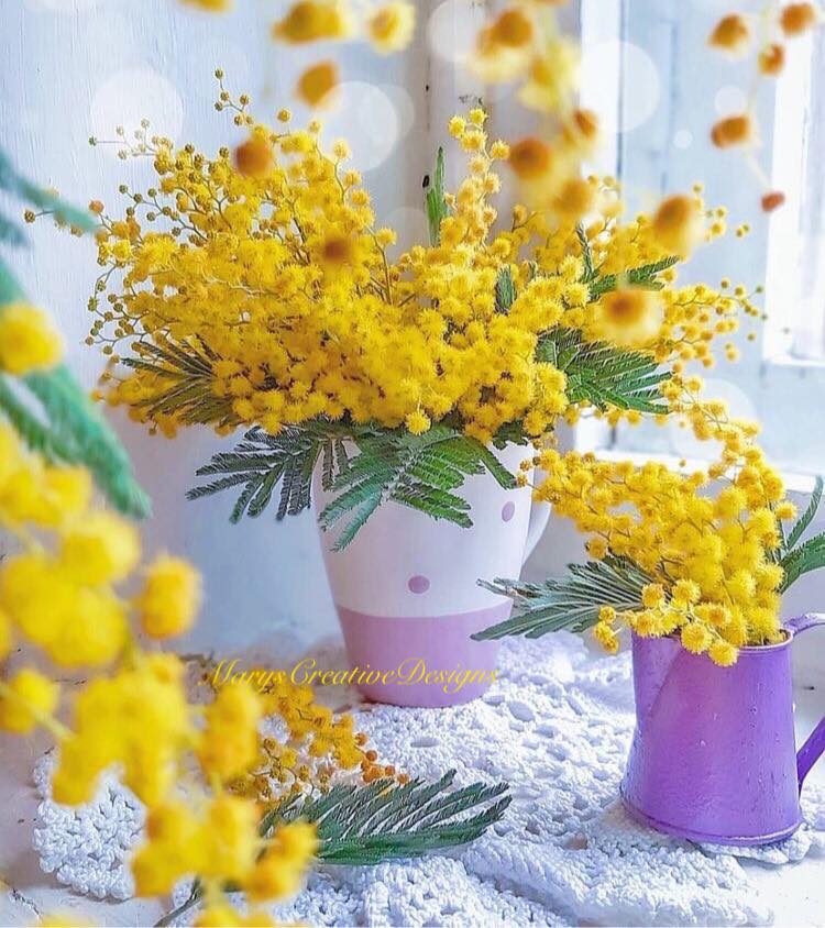 280750356_3196312853939843_4225229809139047363_n