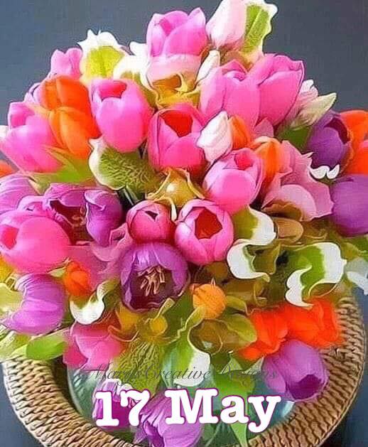 280755654_3197737830464012_1368003927156036003_n (2)