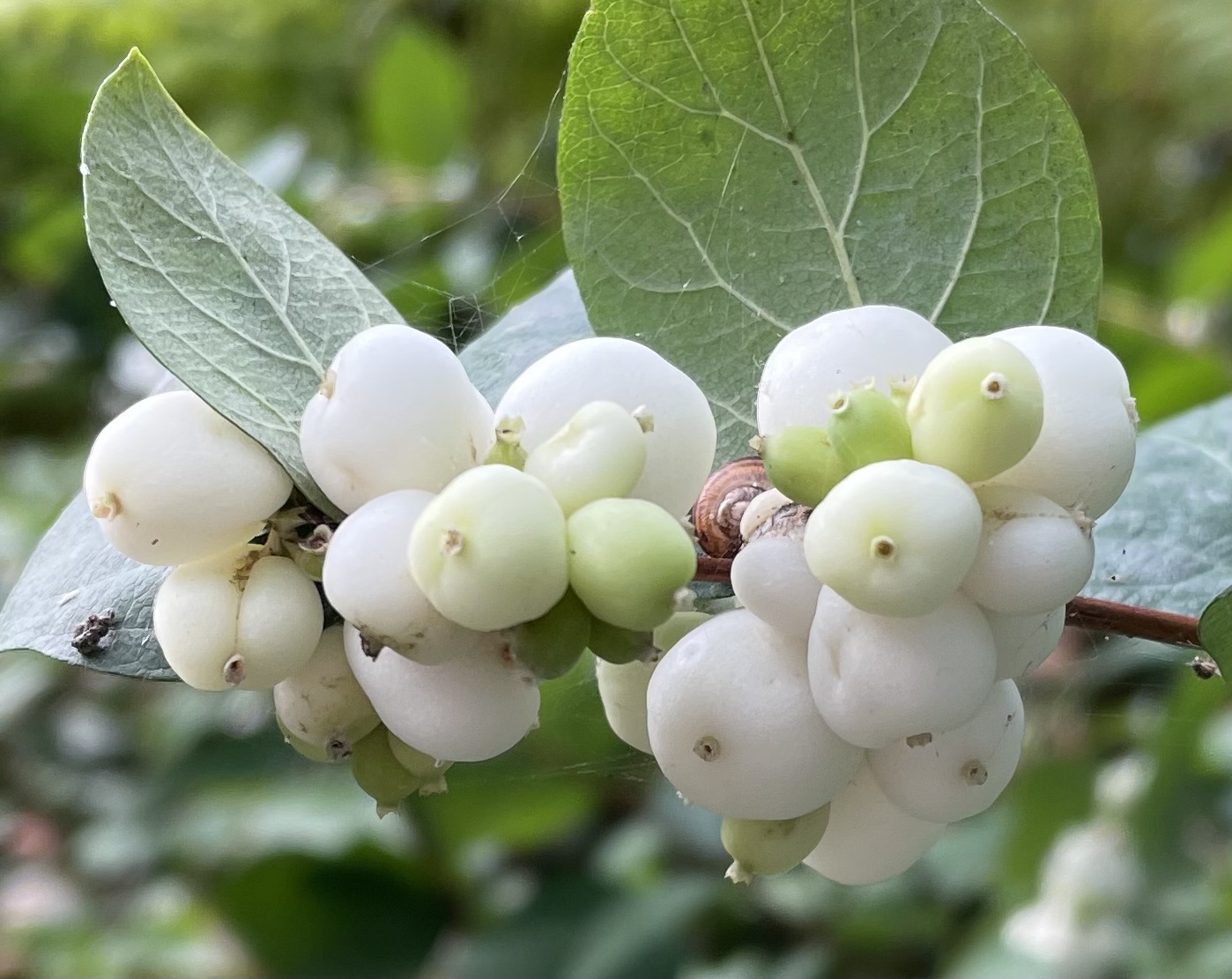 280F4083-2EAF-4AD4-ADAA-9FEABAA0654D