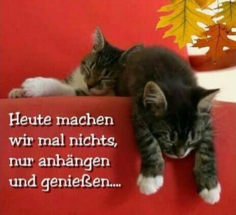 281090669_423742796418859_7302762761341599887_n