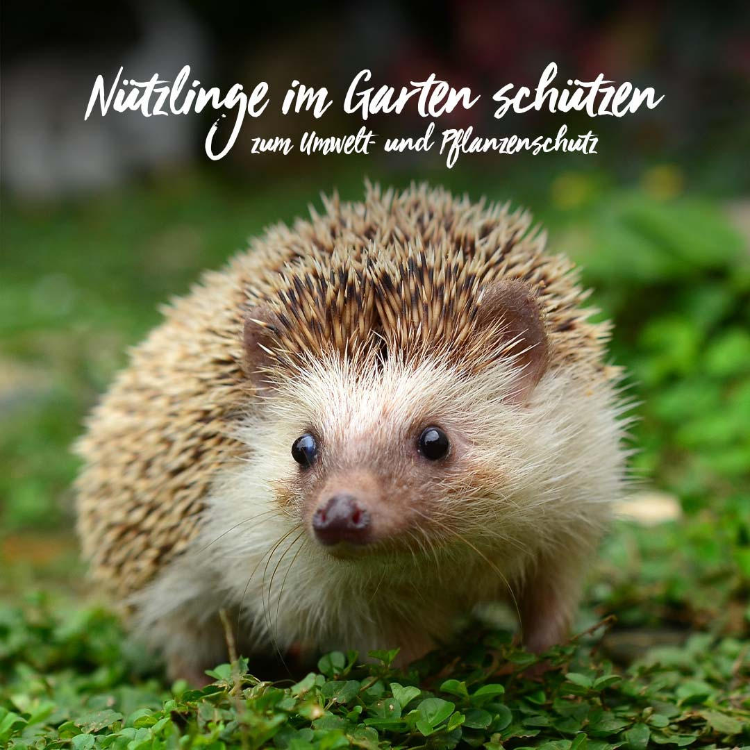 281154345_23850137213440045_2547206308977471091_n