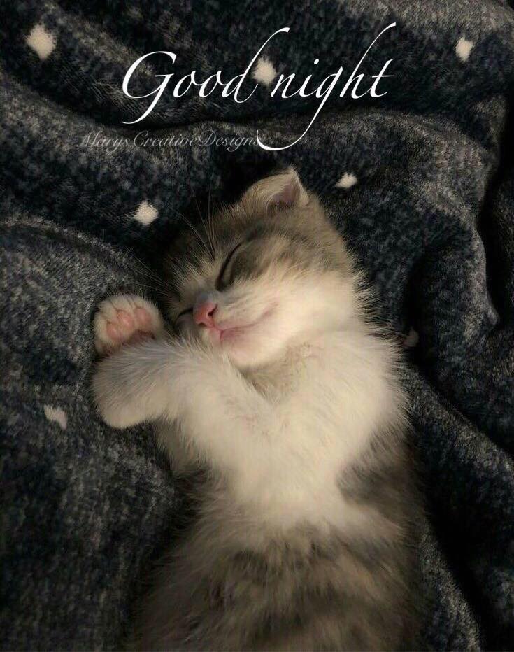 281348677_3200585690179226_1338689416688291685_n