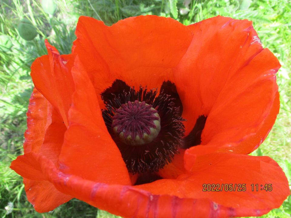 281481710_10222414694660071_2425604744216866074_n