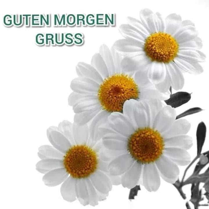 281587411_2295783917267577_1617320144052994135_n