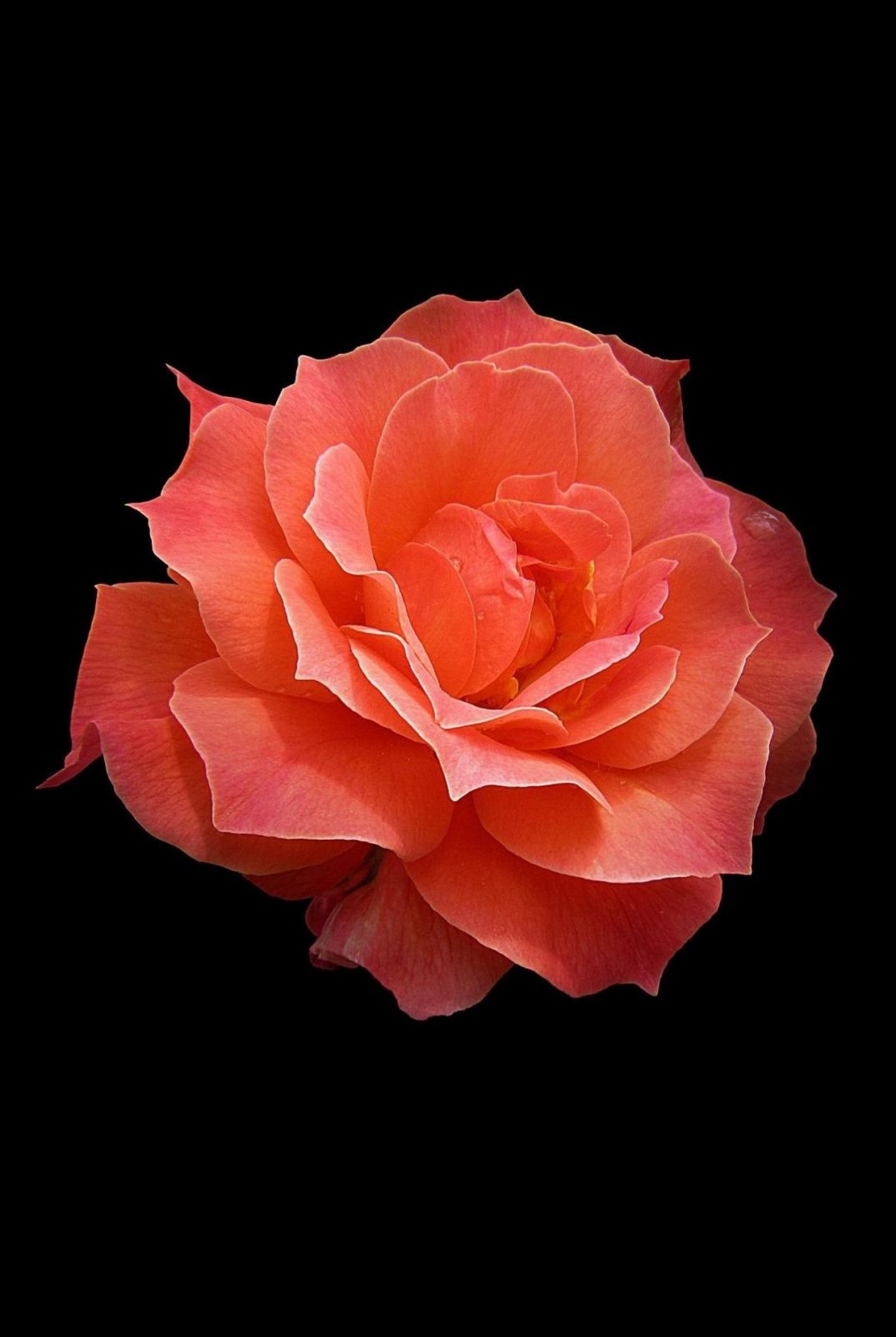 281663066_4925283237569864_2102443527194410504_n