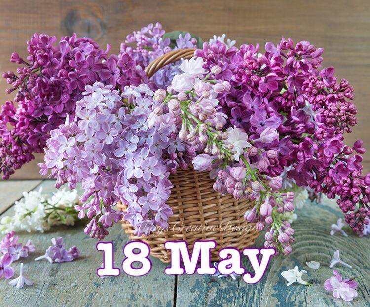 281723333_3198547637049698_3137174720097103843_n (2)