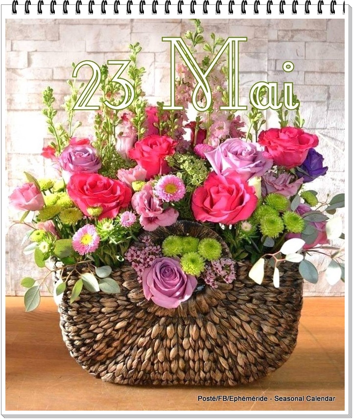 281770232_3201103526794109_5897213719573466477_n