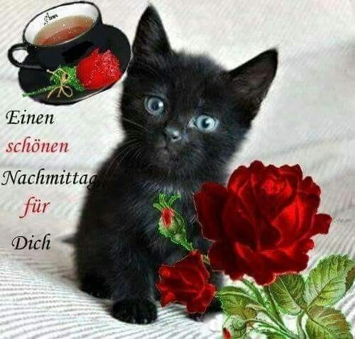 281848300_519138639891880_5145207810712318032_n