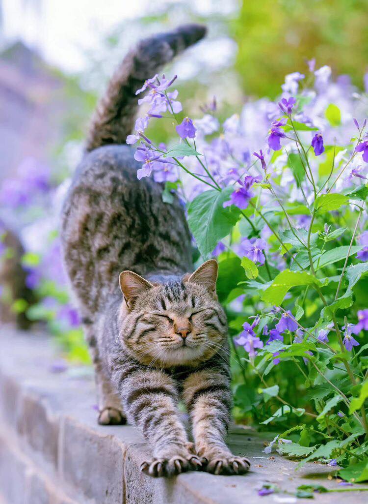 282098616_3202194206685041_1837105688155995723_n