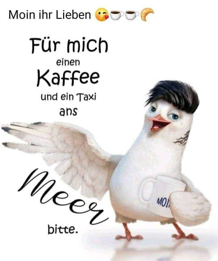 282651002_1399871140531858_4625811550043837434_n