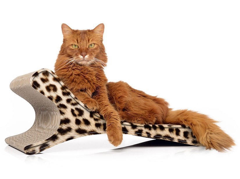 283212603_23850430272630156_2824359471785665605_n