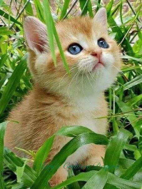 283395202_3203060493265079_8063479506666604857_n