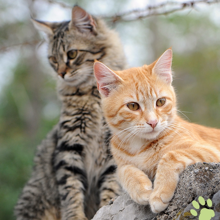 283594946_3035981099998541_553271490075410805_n