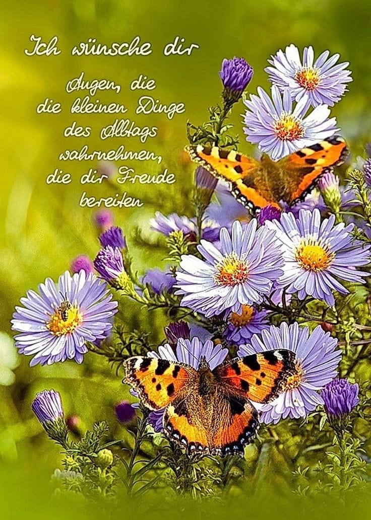 283601926_1194796117960527_2868503261647443491_n