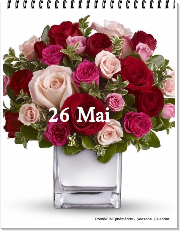 284055743_5414187438631308_6502920321936399151_n