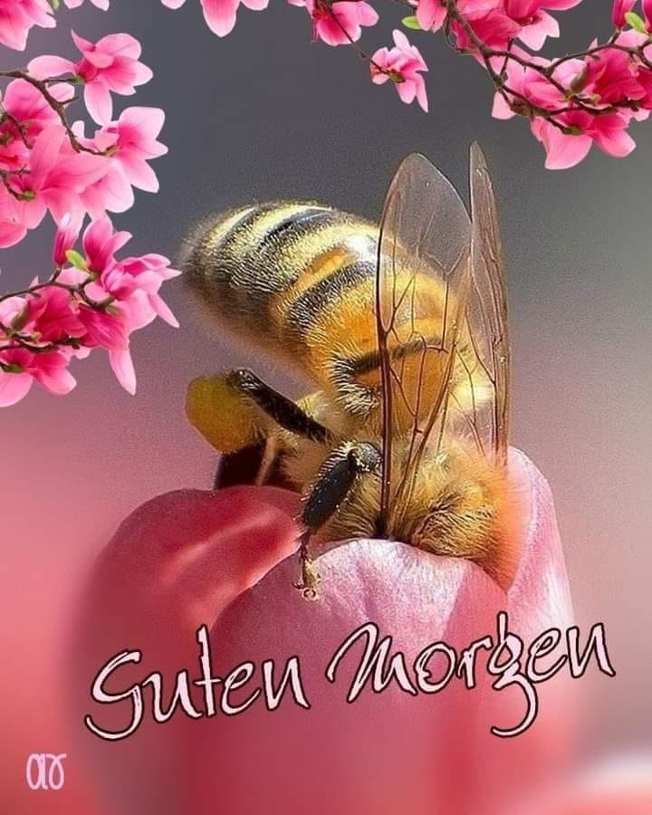 284395741_1112018669380796_7871181064804116117_n