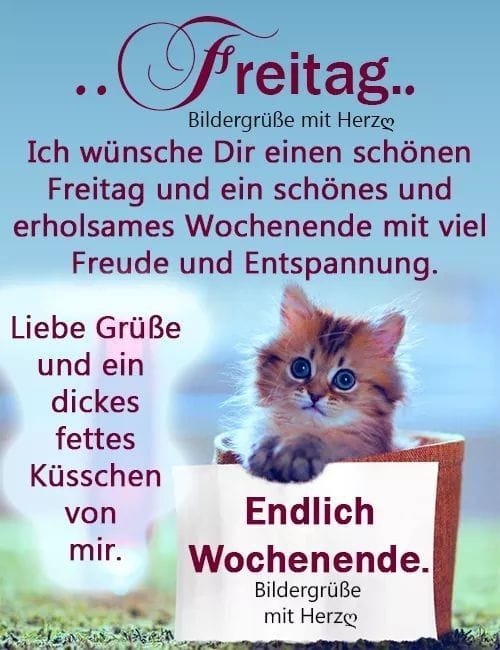 284541588_377760514328355_8442721127021011781_n