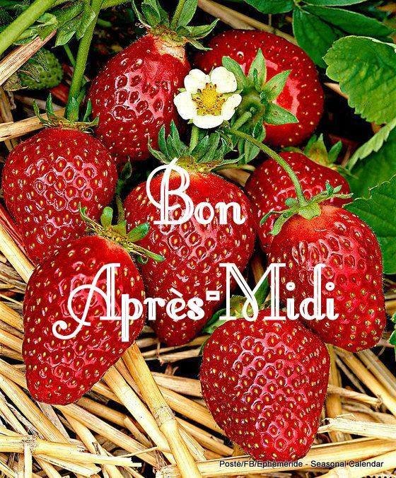 284580985_5418725351510850_2173735223040206338_n