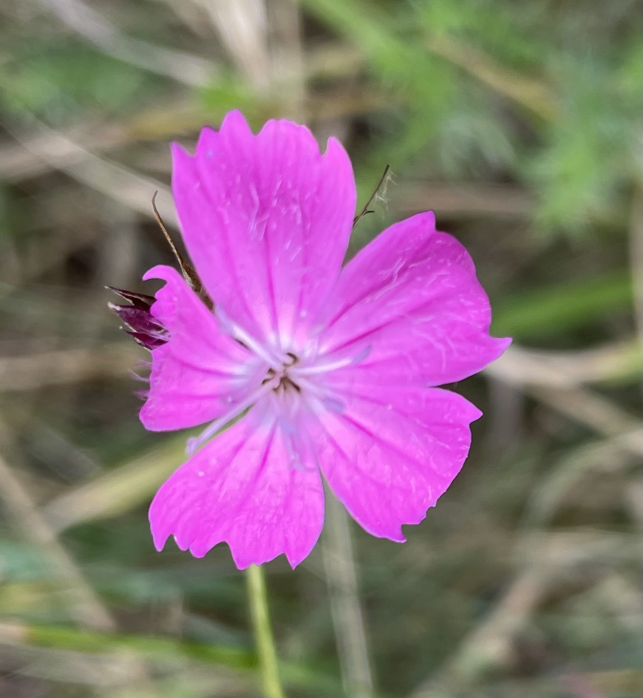 28465D6A-D4AE-4223-A698-6F138E467E3E