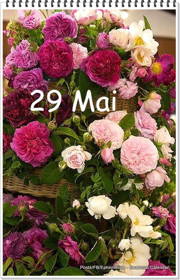 284724954_5423262187723833_3399682593984696002_n